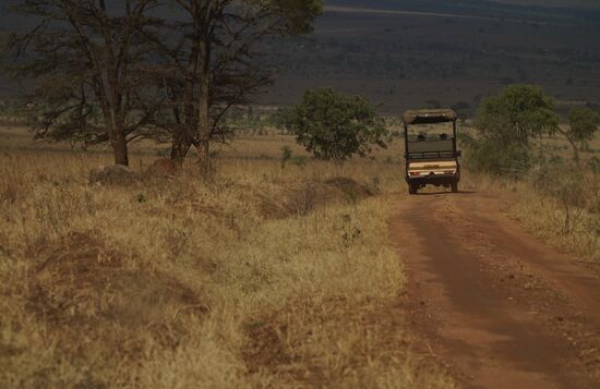 Da ist tatsächlich noch ein Fahrzeug unterwegs!! - viele Fahrzeuge sehen wir hier nicht. Der Kidepo Nationalpark ist sehr weit im Nordosten und nicht viele Touristen verirren sich hierher.