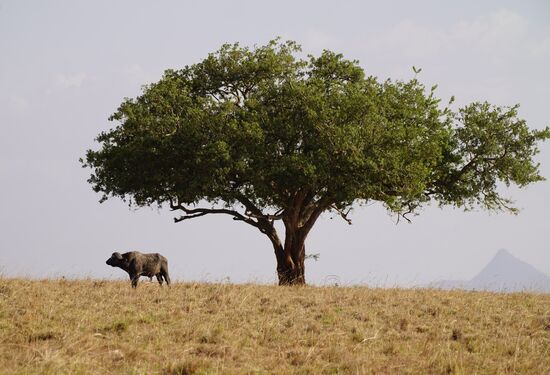 Weiter gehts—wir fahren sehr weit in den Park hinein