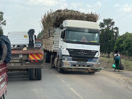 Weiter gehts, für den Lkw im Moment wohl eher nicht.
Vollbeladen (oder vielleicht auch überbeladen) mit Zuckerrohr hat dieser LKW eine Panne. Im Vorbeifahren sehen wir zwei Männer unter dem Wagen liegen und schrauben.