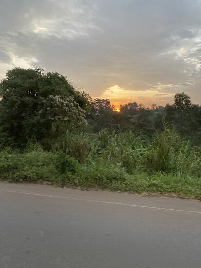 Die Reise neigt sich dem Ende, gegen 19.00 Uhr erreichen wir den Randbezirk von Kampala.