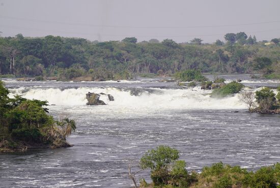 Der Nil mit seinen Stromschnellen auf dem Weg zu den Murchison Falls
(Verbotenes Foto haha)