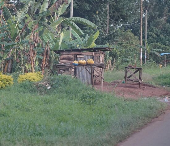 Am Wegrand immer wieder Stände mit Obst und Gemüse