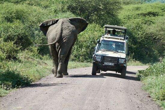 Gegenverkehr - im Zweifelsfall fährt man hier lieber links ran 