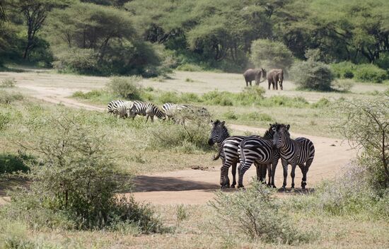 Ein friedliches Miteinander…