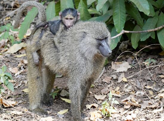 Die kleinen sind so süß