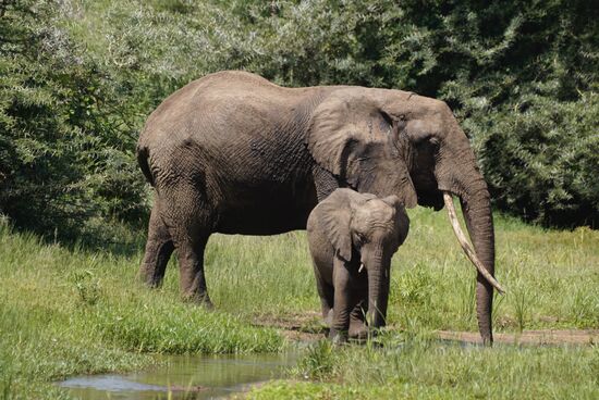 Junior muss das auch noch lernen