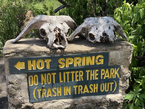 Wir besuchen auch noch einige heiße Quellen. Diesmal sind sie tatsächlich heiß. Man kann kaum ins Wasser fassen.