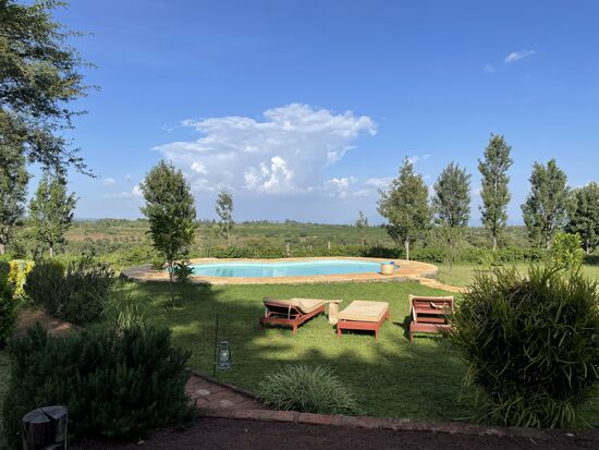 Nehmen ein Bad in dem schönen Pool und schaffen es sogar noch die Flüge nach Äthiopien und Victoria Falls (Simbabwe) zu buchen