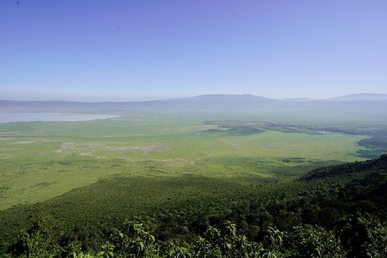 Der Ngorongoro-Crater hat eine Fläche von 26400ha
Der Durchmesser ist zwischen 17 und 21 km und der Kraterboden liegt auf 1700m Höhe-die Seitenwände sind zwischen 400 und 600m hoch und somit liegt die Kraterkante auf 2300m Höhe