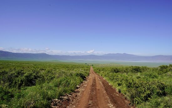 Wir benötigen fast eine Stunde, um den Kratergrund zu erreichen