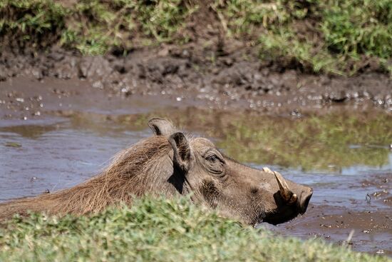 Schließlich ist der Rest der Familie beim Bad