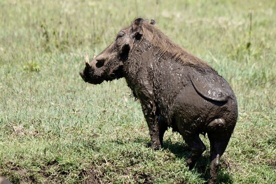Ach, was ist das schön. Jetzt müsste man mal wieder duschen