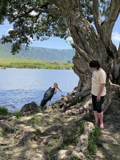 Ich habe doch etwas Respekt vor dem großen Schnabel, aber diese Tiere sind ganz friedlich