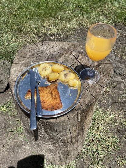 Heute steht Fisch auf dem Plan
