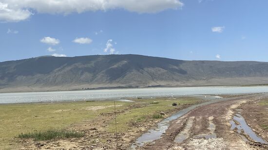 Serengeti bedeutet “Endlose Fläche”