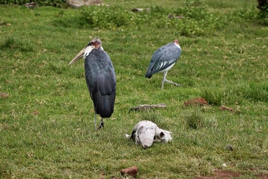 Da ist wohl nichts mehr zu holen