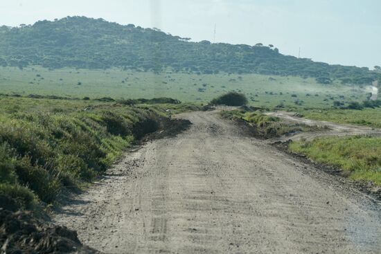 Der Tag neigt sich dem Ende. Wir sind auf dem Weg zum Serengeti