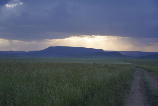 Wir fahren ca. 1 Stunde in die Serengeti hinein, bis wir zu unserer Lodge kommen. Es ist ein Tent Camp mitten in der Steppe.