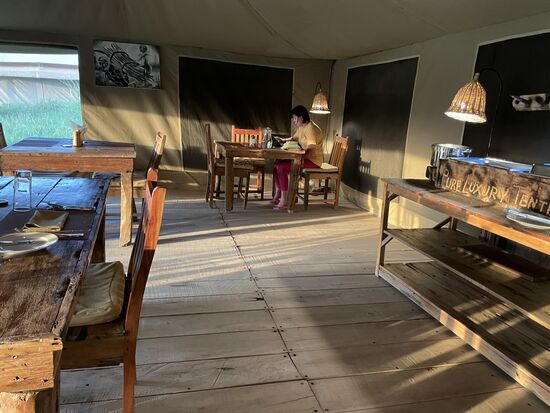 Ich sitze schon früh im „Büro“