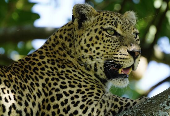 Wir können uns nicht sattsehen. Bestimmt 100 Aufnahmen bereichern Thomas Speicherkarte  