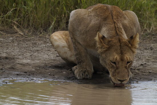 Und hier gibt es Durst