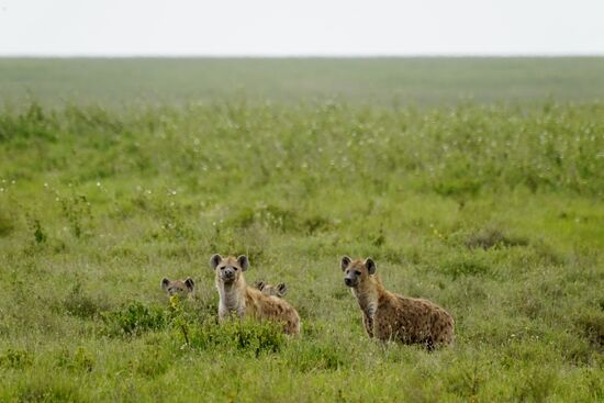 Und nicht weit davon entfernt noch viel mehr