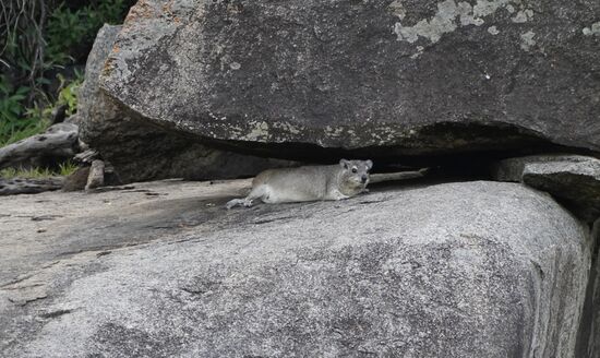 Den kennen wir ja schon 