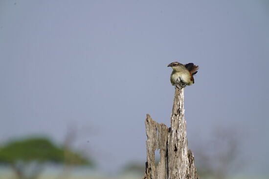 Und wieder geht ein Tag zu Ende. Wir können die vielen Eindrücke kaum fassen.