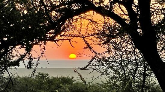 Sonnenaufgang über der Serengeti. Frühes Aufstehen ist angesagt. Heute verlassen wir die Serengeti. Gestern sind wir mehr als 133 km durch die Serengeti gefahren und wir haben nur einen Bruchteil erkunden können. Sicherlich kann man sich hier einige Wochen aufhalten.