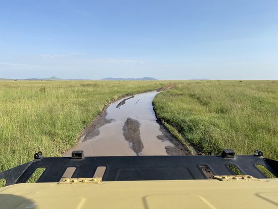 Nachts hat es heftig geregnet und auf den Wegen haben sich tiefe Pfützen gebildet. Doch unser Timothy ist ein routinierter Fahrer und wir bleiben nirgendwo stecken.