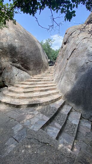 Wir kommen ans Gate des Ausgangs der Serengeti. Hier wurde zu Ehren von Bernhard Grzimek (gestorben 1984) eine Gedenkstätte und eine Art Tiermuseum errichtet. Wir buchen einen Guide und machen eine Führung mit. Der Guide erweist sich als sehr wissensreich und er gestaltet den Rundgang sehr kurzweilig.
Die Älteren von uns kennen Bernhard Grzimek bestimmt aus ihrer Jugend. Berühmt wurde der Filmemacher und Direktor des Zoos in Frankfurt durch „Guten Abend, meine lieben Freunde“ in der Live-Sendung „Ein Platz für Tiere“. Von 1956 bis 1987 moderierte Grzimek 175 Sendungen. 
Thomas hat fast alle gesehen, und deshalb auch diesen Text verfasst.
Durch diese Sendungen entstand auch sein Wunsch, die Serengeti zu besuchen.
Es hat lange gedauert, aber manche Wünsche erfüllen sich spät.
Sein sicherlich berühmtester Film war die Dokumentation „Die Serengeti darf nicht sterben“. Dank seiner Dokumentation wurde die Serengeti weltberühmt, die Gründung als Nationalpark erfolgte und die Serengeti gilt als das erfolgreichste Naturschutzprojekt. Grzimek wurde vielfach durch den Präsidenten Tansanias ausgezeichnet.
Besonders bekannt wurde Bernhard Grzimek durch sein kleines Flugzeug, mit welchem er über die Serengeti geflogen ist. Das Flugzeug war mit Zebrastreifen bemalt und die älteren Leute hier reden immer noch von dem weißen Mann mit dem kleinen Flugzeug mit Tebrazeichnung.