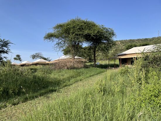 Links sind die Gäste-Zelte von denen aber keine weiter belegt sind