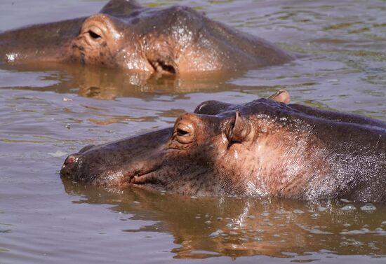 … und genießen das Bad und die Sonne auf der Haut.