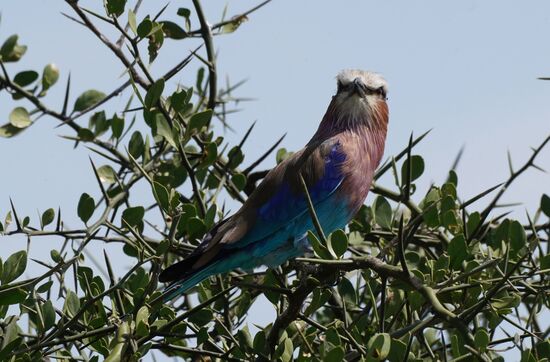 So, erledigt…rülps…