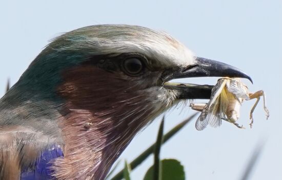 Das ist der Kreislauf des Lebens. Traurig, aber die Natur will es so.