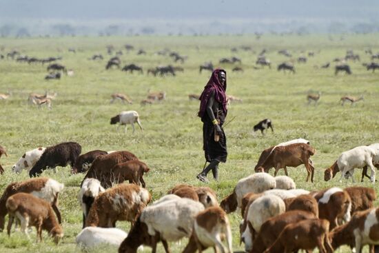 Hier ein erwachsener Massai.