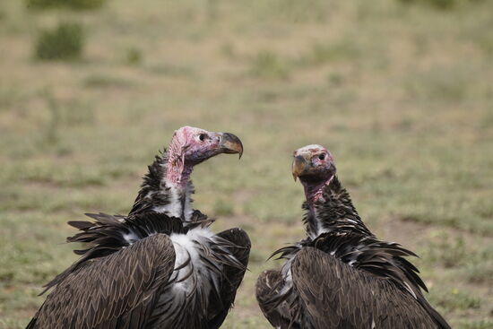 „Hast Du schon gegessen?“ „Nö“ „Dann komm doch einfach mal mit“