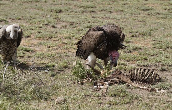 Ja, da ist nicht mehr viel übrig. Es war für uns ein aufregendes Schauspiel, so etwas aus der Nähe beobachten zu können.