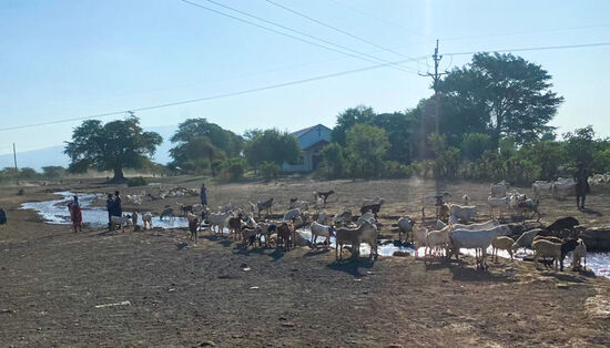 Die ganze Region ist irgendwie unwirtlich und staubig