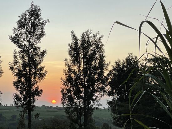 Guten morgen aus Karatu—heute verlassen wir die „Karatu Mawe tented“ Lodge und fahren zum „lake Natron“