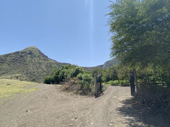 Die Einfahrt zu unserer Lodge—um 11 Uhr sind wir schon da.
Unterwegs haben wir noch „Kelvin“ einen Massai-Jungen eingesammelt. Er ist für den heutigen Tag unser Guide