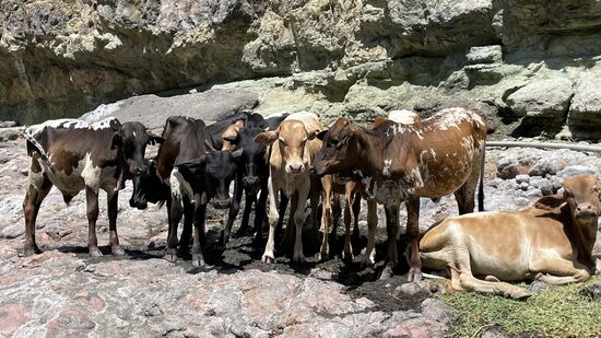 Sie kommen nicht mit…