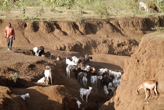 Wir haben ca 180km zu fahren und sehen unterwegs die Massai