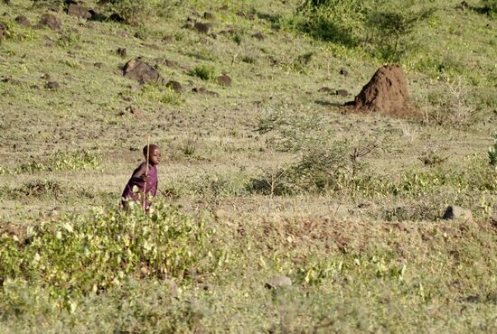 Kinder, die eigentlich zur Schule gehen sollten….