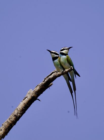 Timothy hat da wirklich ein Adlerauge - und das alles während er noch fährt….
