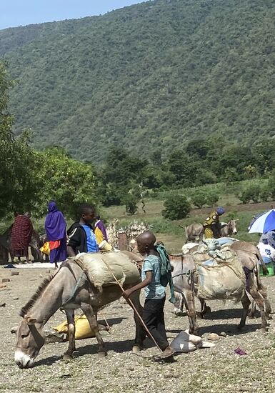 Von weit her kommen Verkäufer und Käufer — wer weiß, wie lange dieser junge Mann schon unterwegs ist.