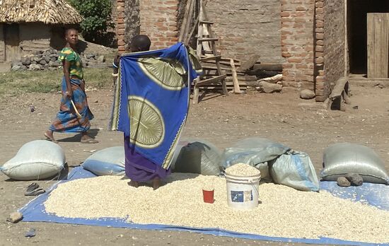 Unmengen von Mais wurde hierher gebracht - für Mensch und Tier