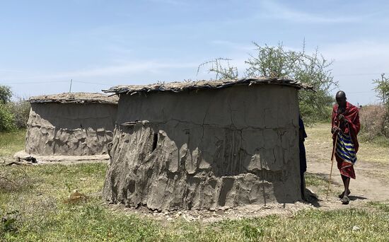 Der komplette Kraal ist auch von der Dornenhecke umgeben, um sie vor wilden Tieren, z.B. Hyänen ,zu schützen