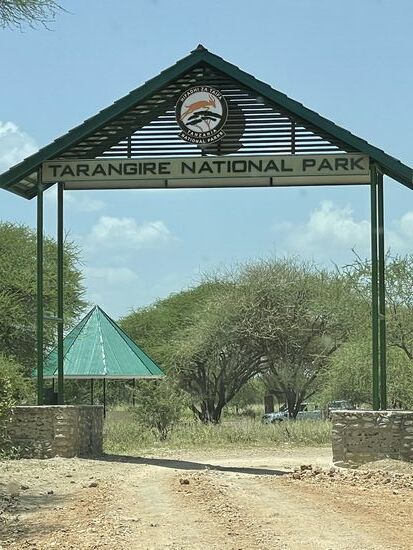 Auf zum nächsten Np - den “ Tarangire Nationalpark “