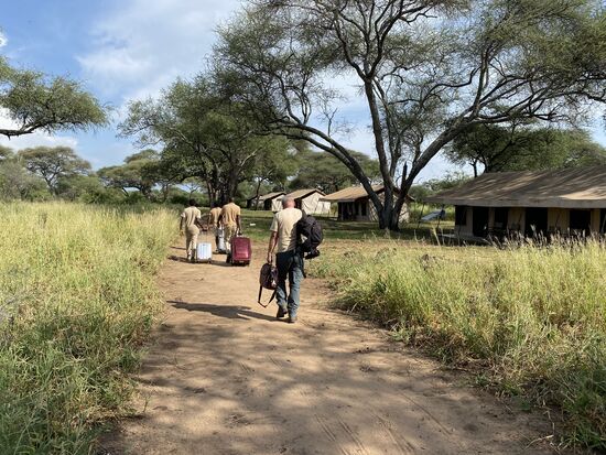 Man bringt uns zu unserem Zelt. Doch der Weg dahin ist nicht ohne. Die TseTse-Fliegen haben es auf mich abgesehen. Es ging kaum ein Körperteil, in das nicht gestochen wurde.
